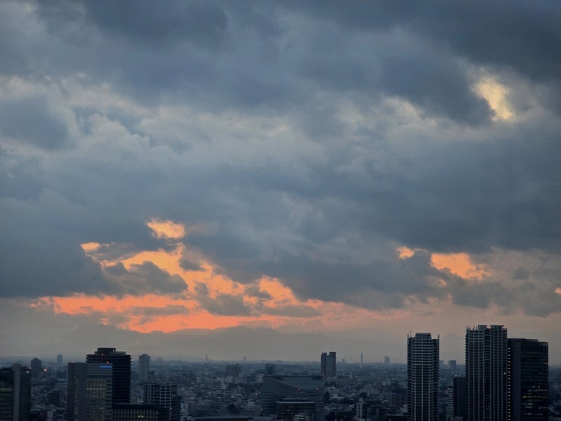 高橋英樹 妻とそれぞれ違ううどん注文の画像