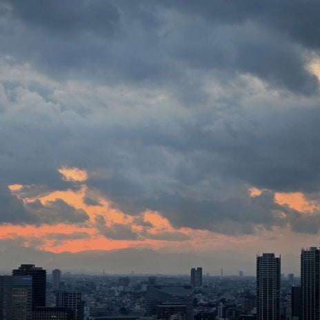 高橋英樹 妻とそれぞれ違ううどん注文の画像