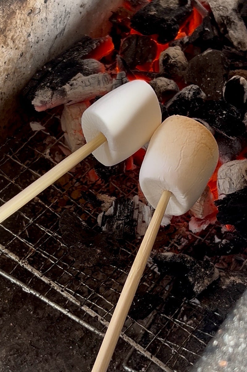 BBQで欠かせないダイソー購入品