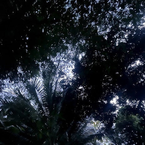 團十郎 何かにあたり腹痛を告白の画像