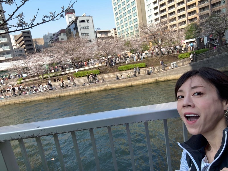 高橋真麻 春休みは家族でお花見の画像