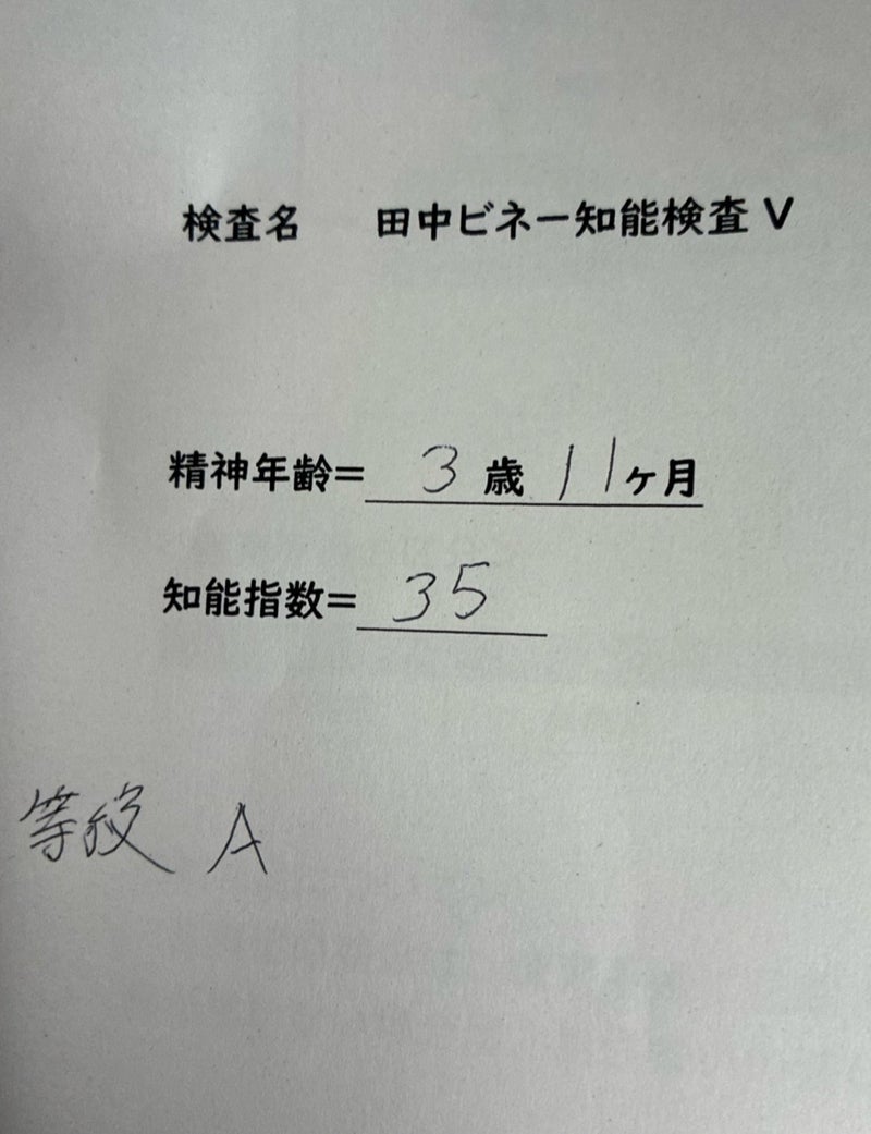 娘の重度判定で手厚くなる支援の画像