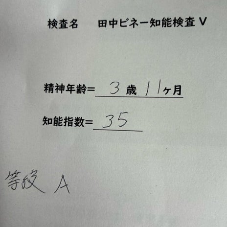 娘の重度判定で手厚くなる支援の画像