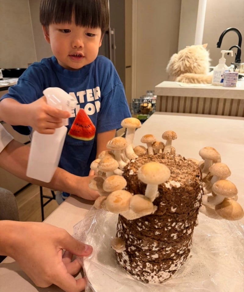 桃 夫1人で水やりするキクラゲの画像