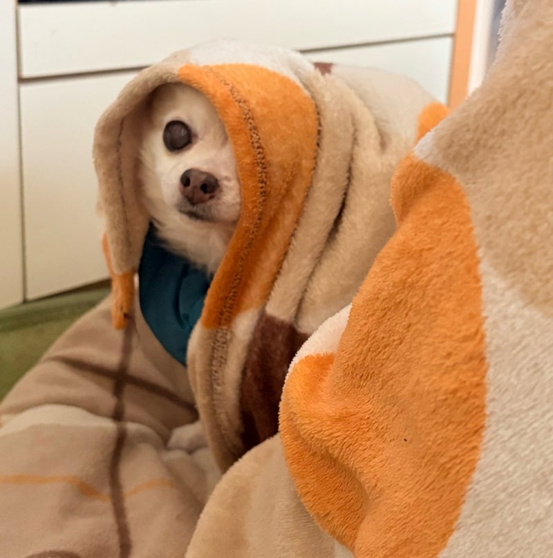 口を酸っぱくして言ってる夫の物の画像