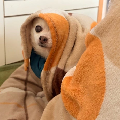 口を酸っぱくして言ってる夫の物の画像