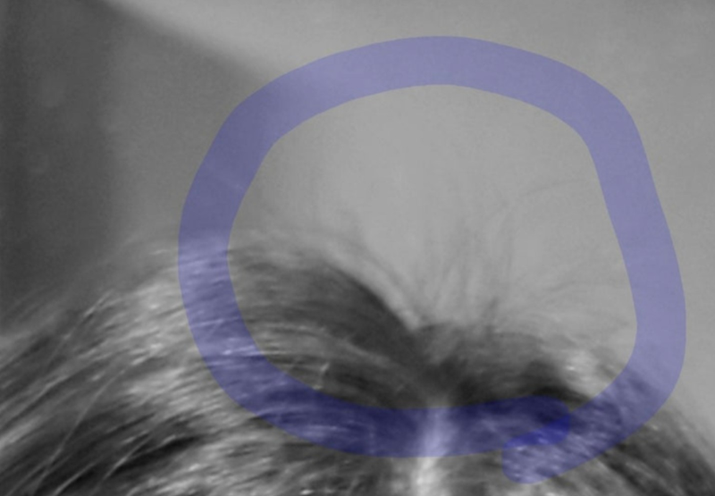 退職を伝えたらフリーズした上司の画像