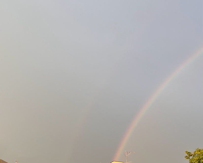 田中健 娘からのダブルレインボーの画像