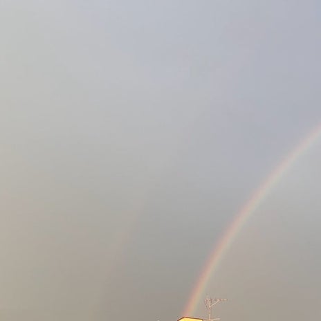 田中健 娘からのダブルレインボーの画像