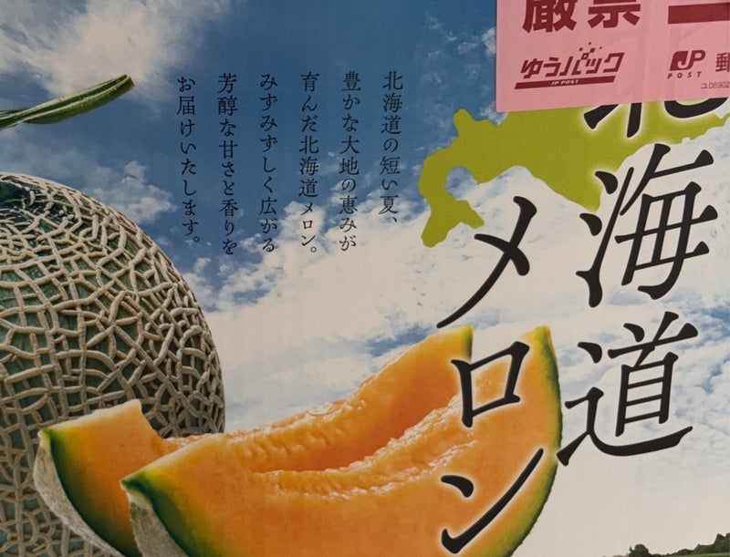 かとうかず子 頂き物の夕張メロンの画像