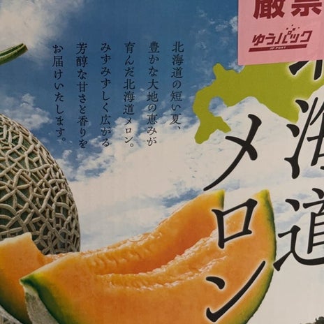 かとうかず子 頂き物の夕張メロンの画像
