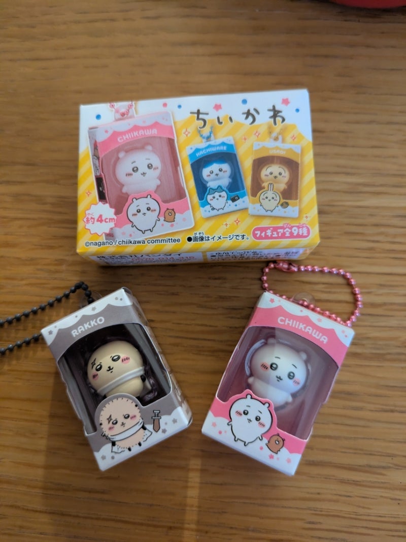 パート先に入荷した2つの可愛い物の画像