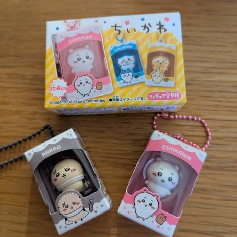 パート先に入荷した2つの可愛い物の画像