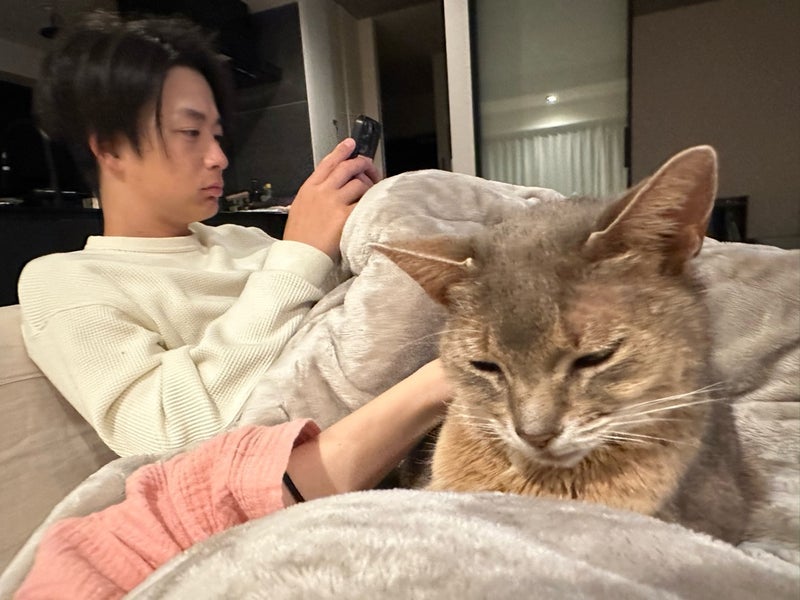 桃 夫婦と愛猫達の至福の時間の画像