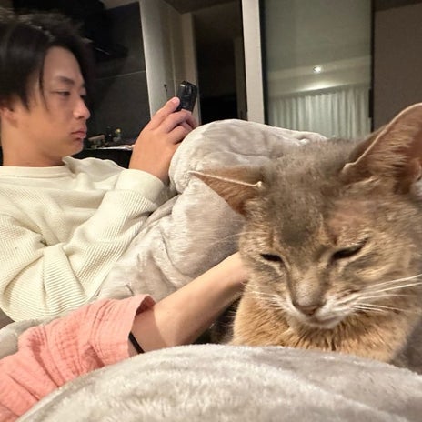 桃 夫婦と愛猫達の至福の時間の画像