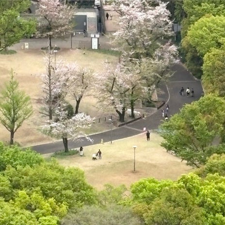 かとう ペットロスから救ってくれた孫の画像