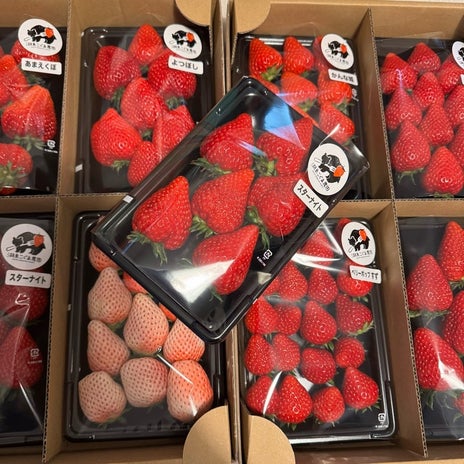 念願が叶い大満足だったイチゴの画像