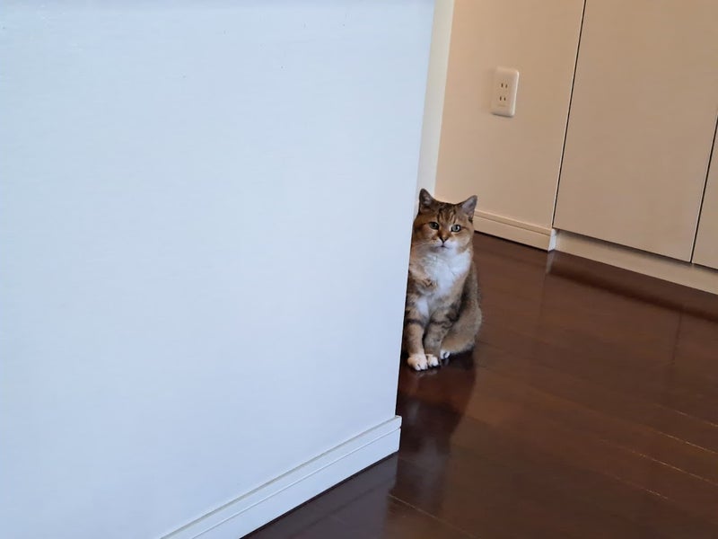 夫の好んでいたお供え用の買い物の画像