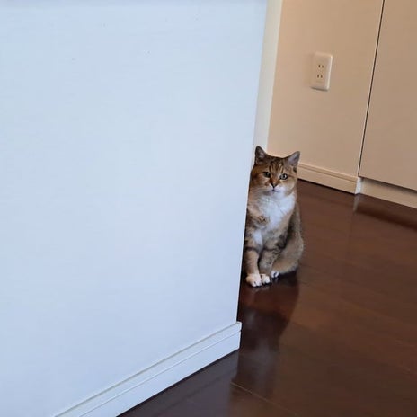 夫の好んでいたお供え用の買い物の画像