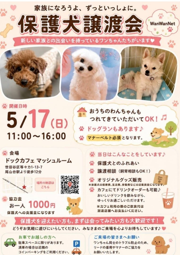 ボランティアダイアリーにのったご縁の画像