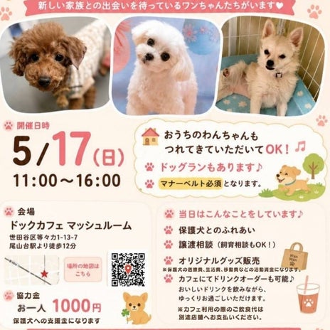 ボランティアダイアリーにのったご縁の画像