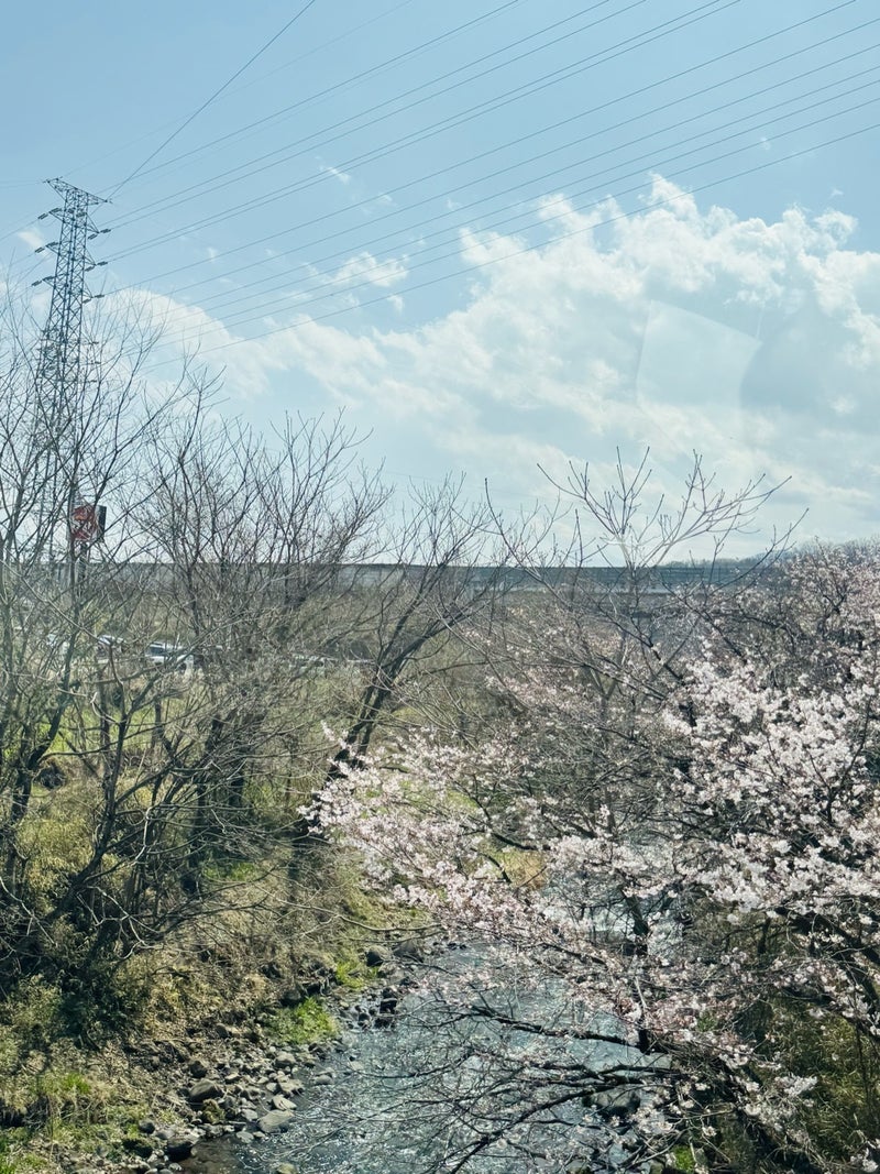 だいた 自然に溢れた気持ち良い景色の画像