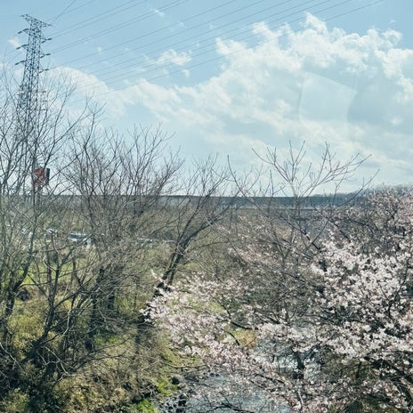 だいた 自然に溢れた気持ち良い景色の画像