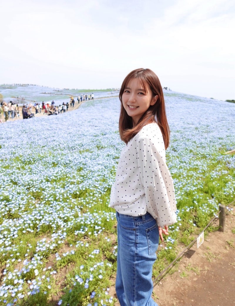 真野 公園で見た7分咲きのネモフィラの画像