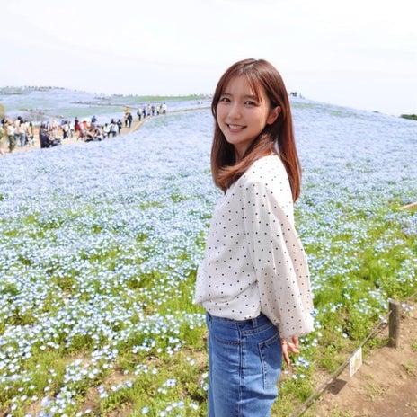 真野 公園で見た7分咲きのネモフィラの画像