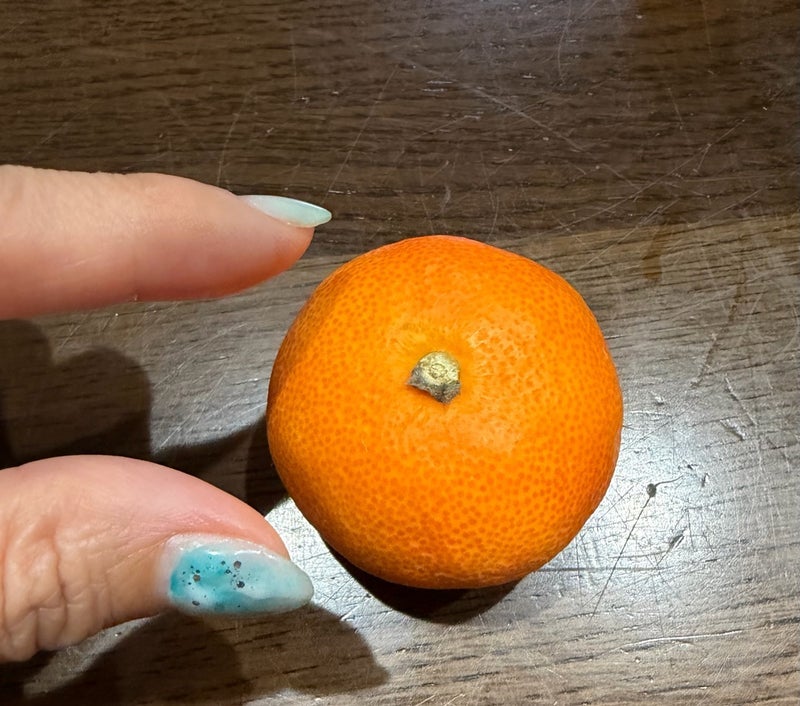 旦那が貰った1個7000円のみかんの画像