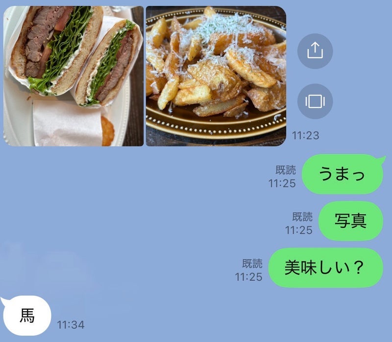 やっときたメールの内容は写真と馬の画像