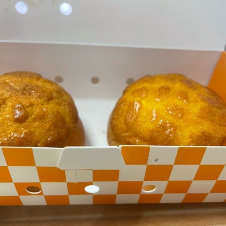 アグネス 帰宅後のとっても眠い朝の画像