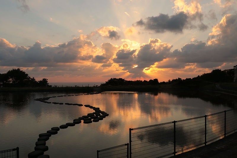 帰宅後大急ぎで見に行った夕日の画像