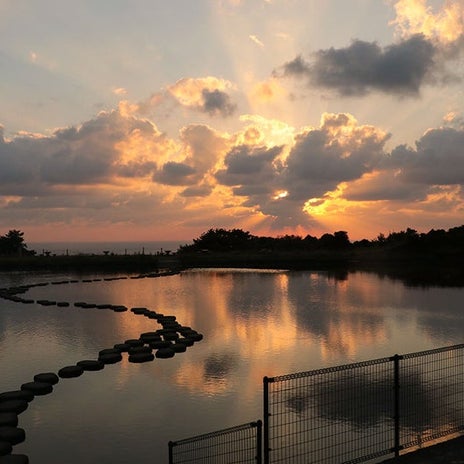 帰宅後大急ぎで見に行った夕日の画像