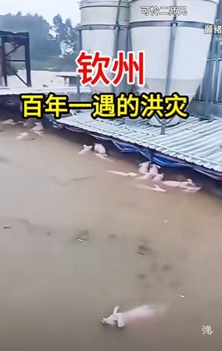 ケンタで30分待たされできていた品の画像