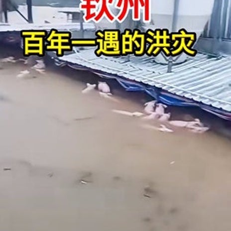 ケンタで30分待たされできていた品の画像
