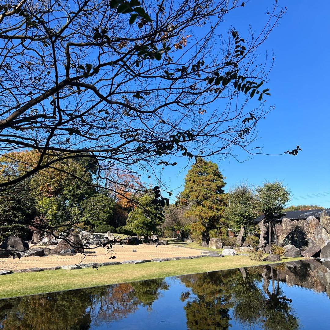 Zoomで友人へ伝える妊娠報告の画像