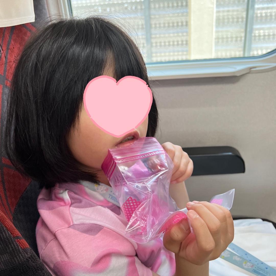 娘と乗り閉じ込められた新幹線の画像