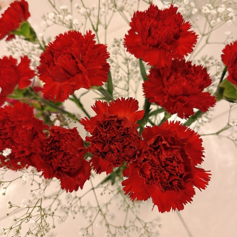 ルミ子歯医者後に寄って買った花