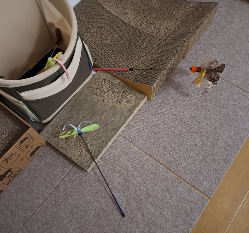 限界を超えた立ちっぱなしの仕事の画像