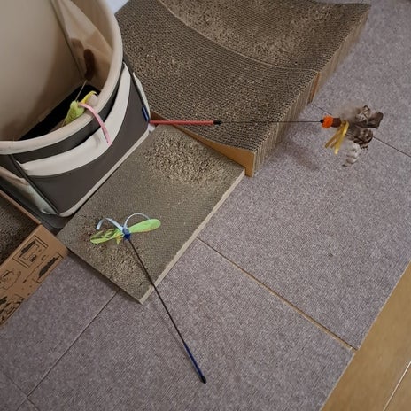 限界を超えた立ちっぱなしの仕事の画像