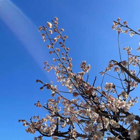 暖かな陽射しが気持ち良い週末の画像