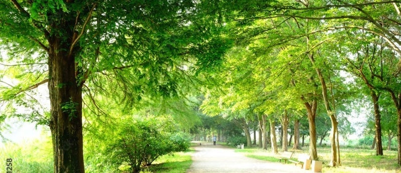 旦那が居るリビングから自室へ避難の画像