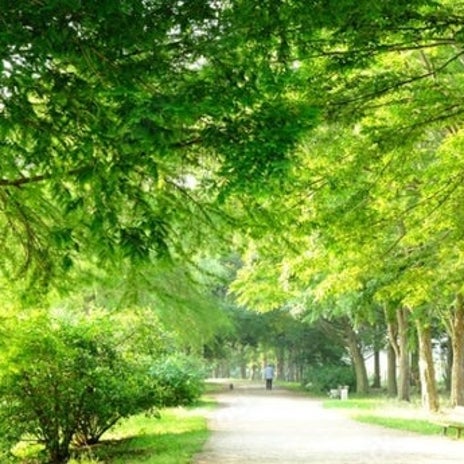 旦那が居るリビングから自室へ避難の画像