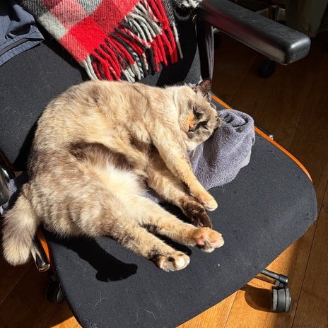 約2日で20万も使ってなくなった給料の画像