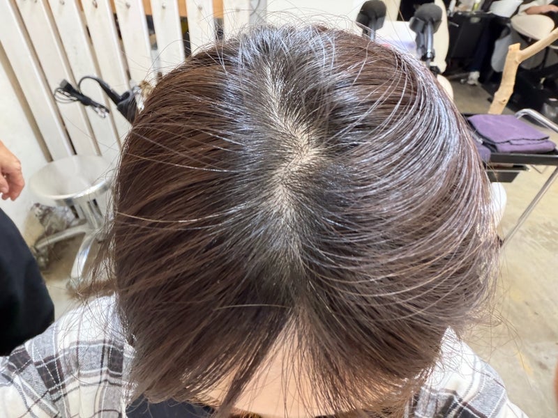 桃 撮影前の白髪染めとサプライズの画像
