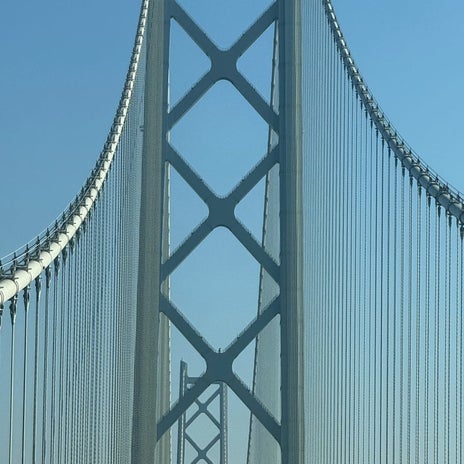 お義母さんに派手と怒られるイヤリングの画像