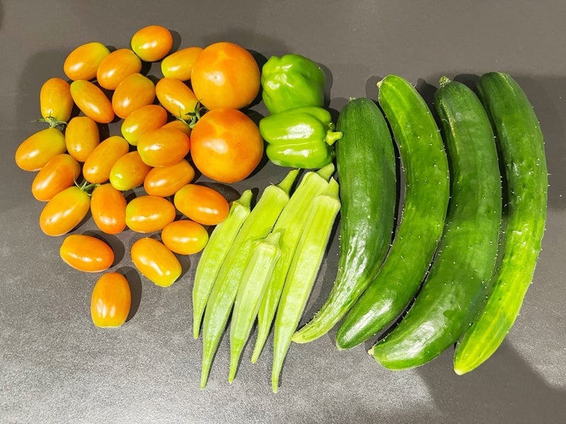 夫のおかげで毎日大量収穫の野菜の画像