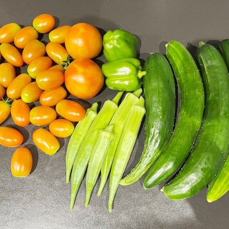 夫のおかげで毎日大量収穫の野菜の画像