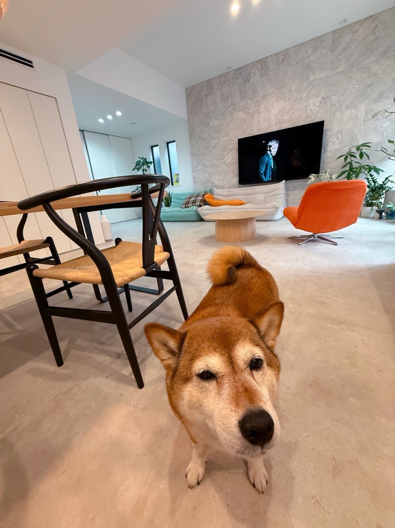 仕事を始めて益々大好きになった家の画像